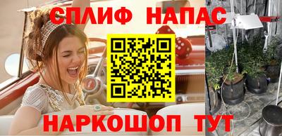 дурь Гатчина