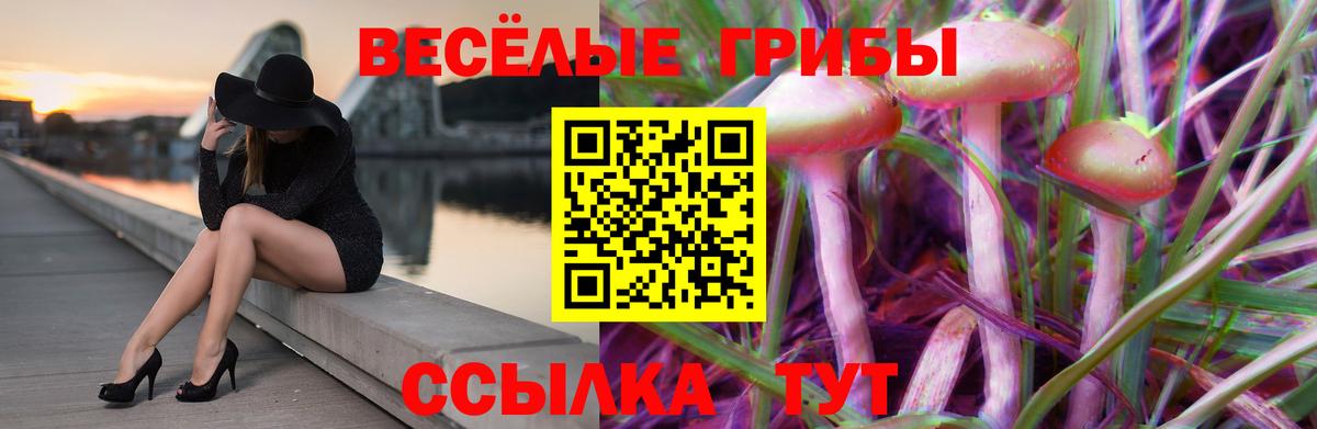 Псилоцибиновые грибы прущие грибы  Вход с VPN  Екатеринбург 